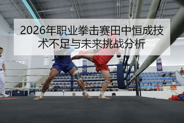 2026年职业拳击赛田中恒成技术不足与未来挑战分析