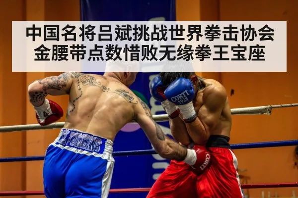 中国名将吕斌挑战世界拳击协会金腰带点数惜败无缘拳王宝座