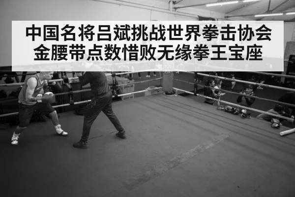 boxer training gym